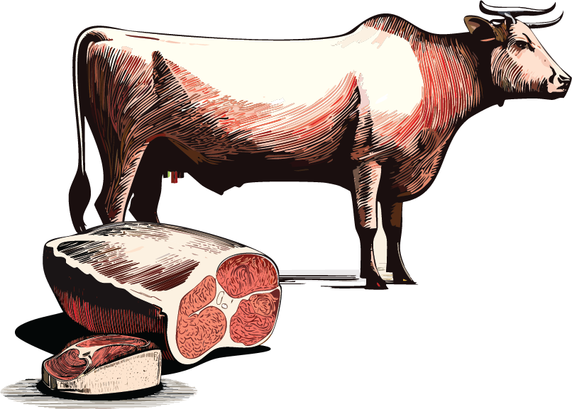 Australian beef